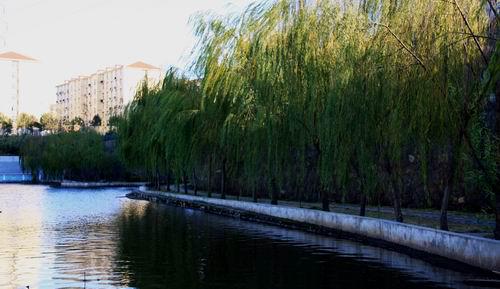 组织开展“Me To We”公益慈善活动