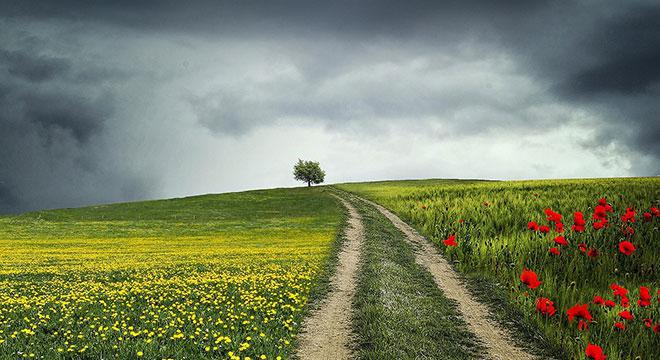 互学互助聚合力  共谱党建新篇章