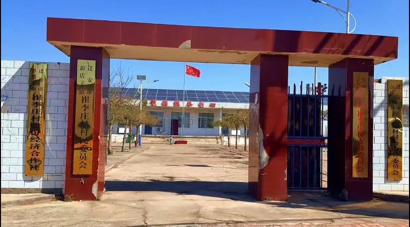 扎根乡土践初心 实干担当惠民生 —— 记迁安市彭店子镇崔李庄村党支部书记李进